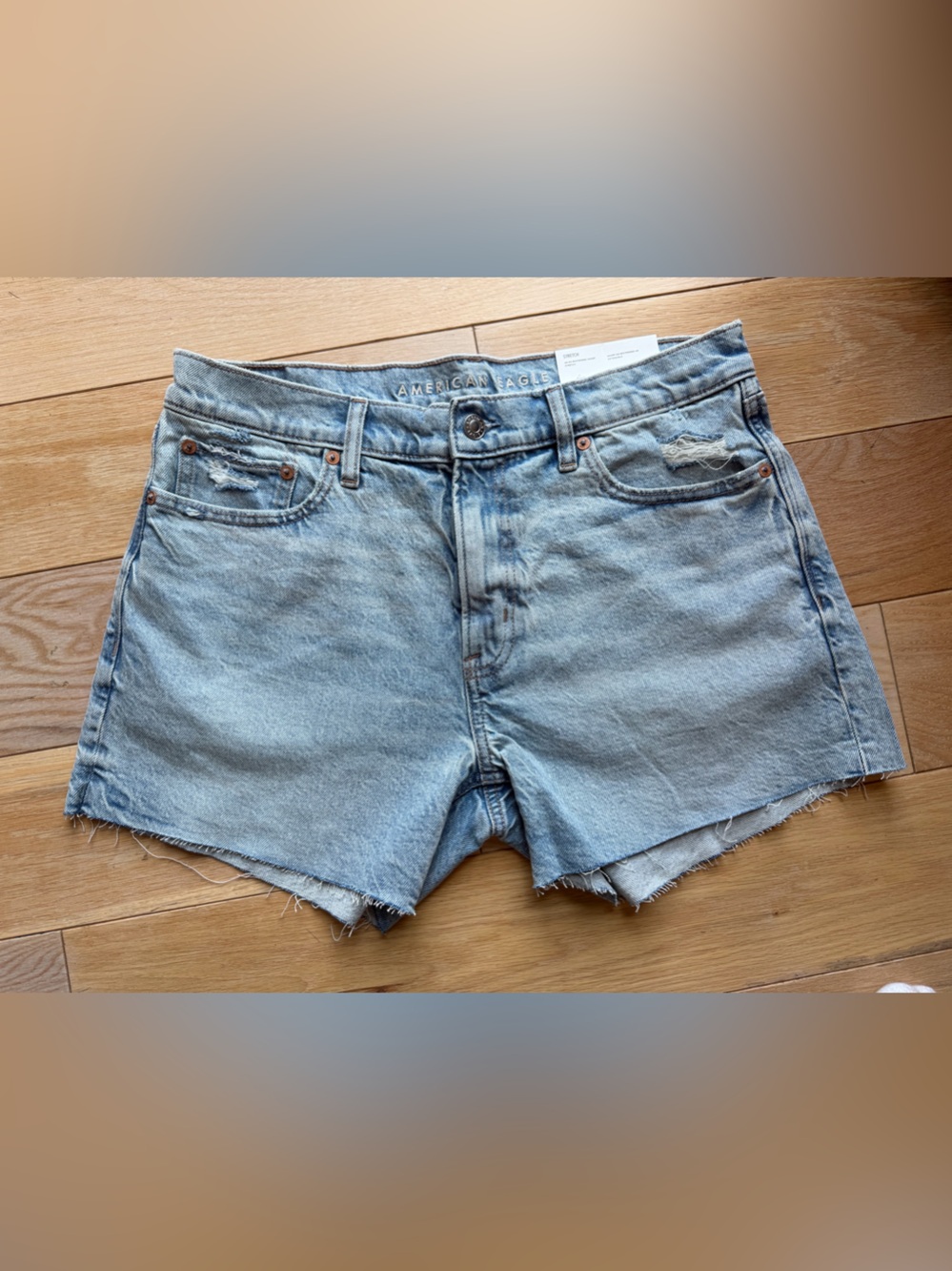 AE EX-BOYFRIEND SHORT 6 28w NWT